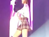 Koream celeb lisa twerk at concert 