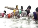 Fat ass bbws popping them fat ass at the beach!